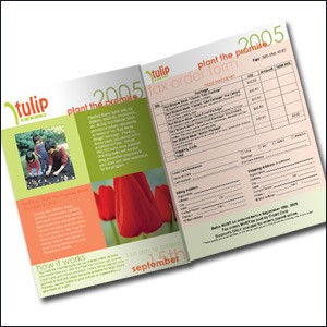 Print Design: Print Design